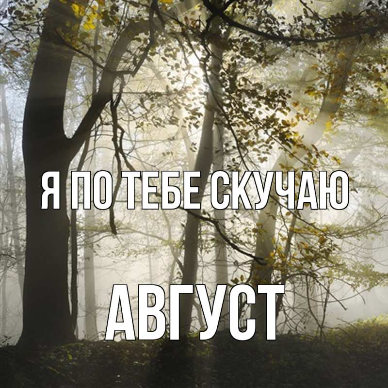 Картинка Я по тебе скучаю, Август