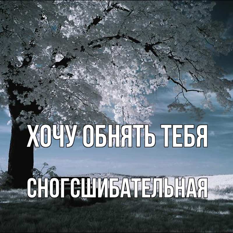 Картинка Хочу обнять тебя, сногсшибательная