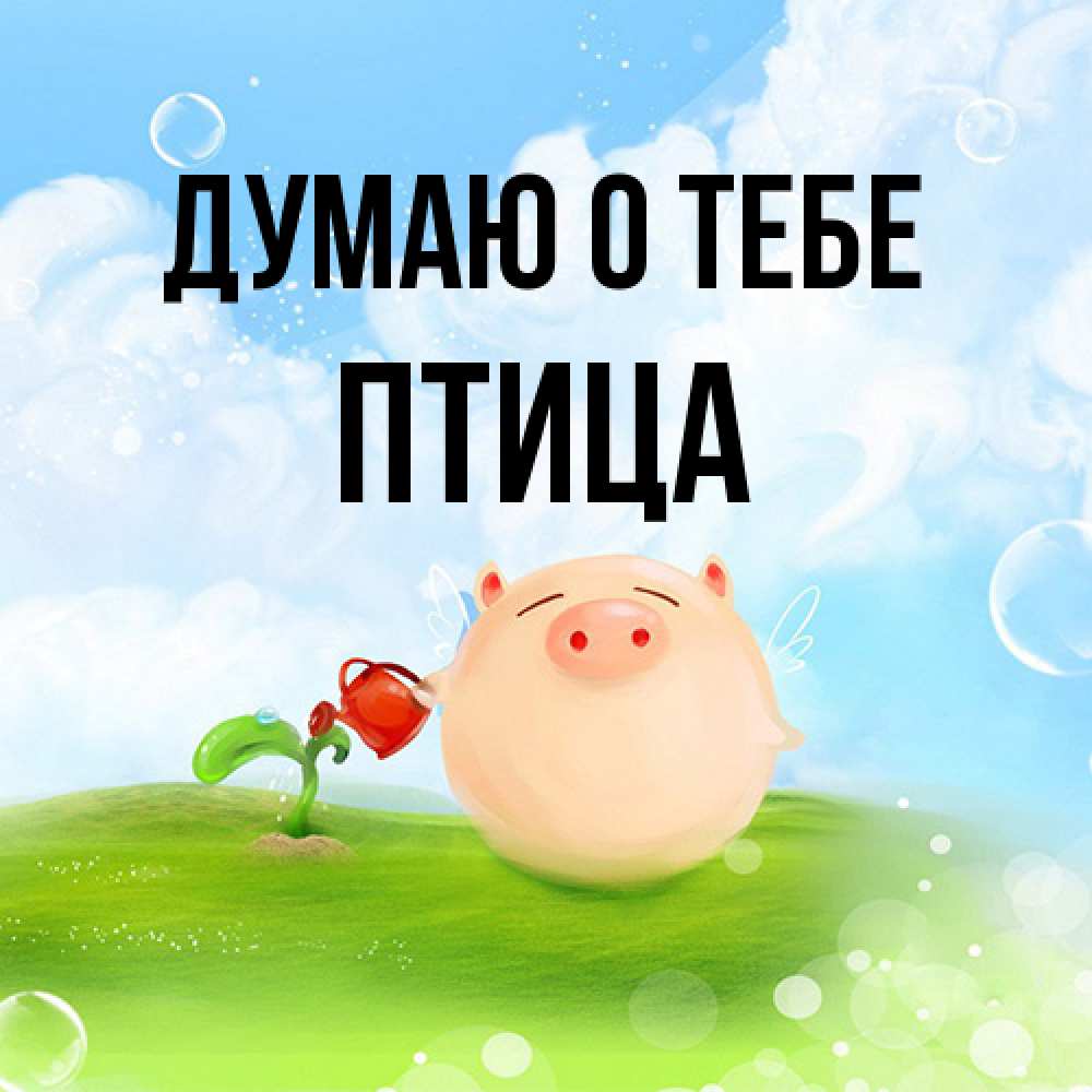 Открытка на каждый день с именем, Птица Думаю о тебе позитивная свинюшка Прикольная открытка с пожеланием онлайн скачать бесплатно 