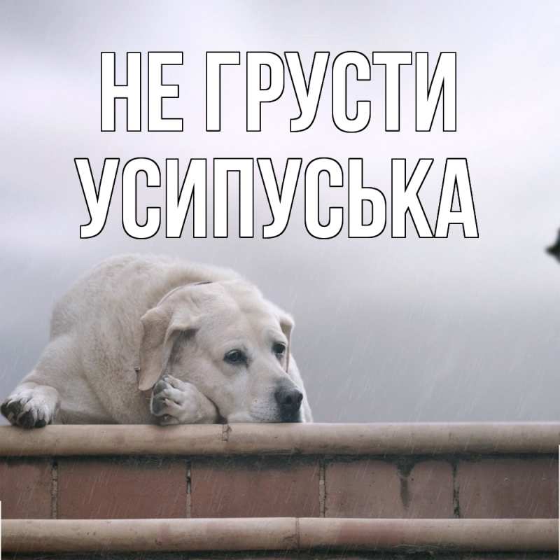 Картинка Не грусти, усипуська