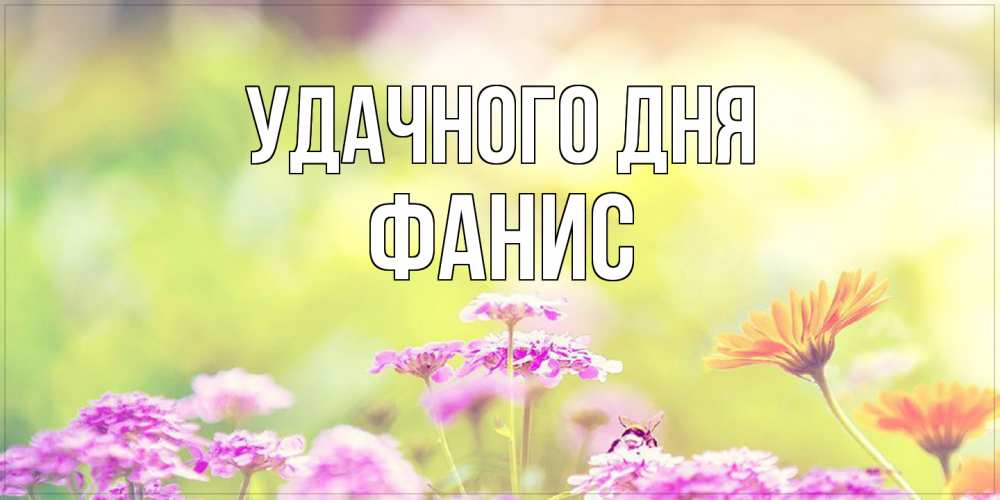 Открытка на каждый день с именем, Фанис Удачного дня красивая открытка с летней темой Прикольная открытка с пожеланием онлайн скачать бесплатно 