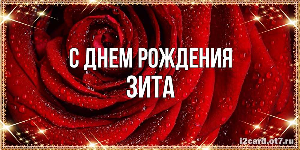 Открытка на каждый день с именем, Зита С днем рождения роса на розе блестящая в лучах солнца Прикольная открытка с пожеланием онлайн скачать бесплатно 