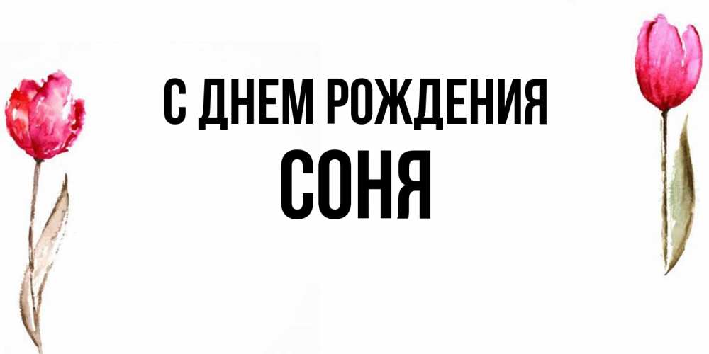 Открытка на каждый день с именем, Соня С днем рождения открытки акварелью с цветами Прикольная открытка с пожеланием онлайн скачать бесплатно 