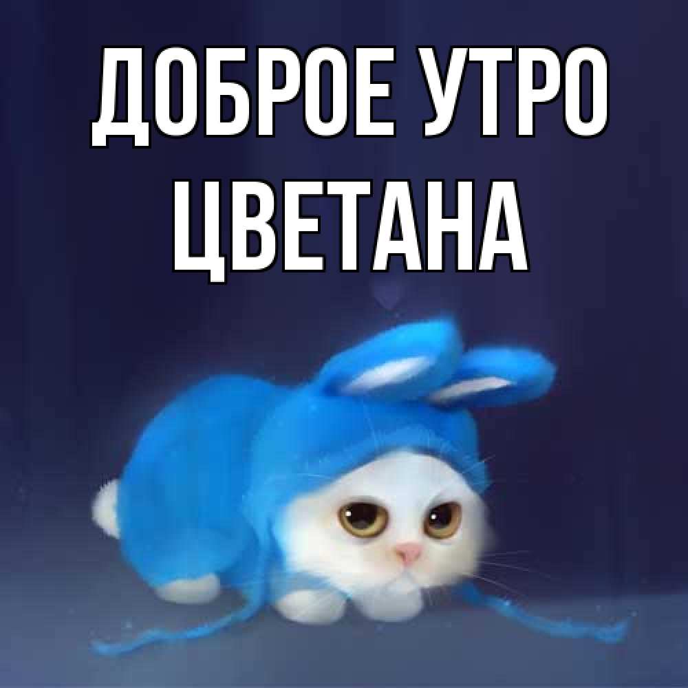 Открытка на каждый день с именем, Цветана Доброе утро открытки красивые скачать бесплатно Прикольная открытка с пожеланием онлайн скачать бесплатно 