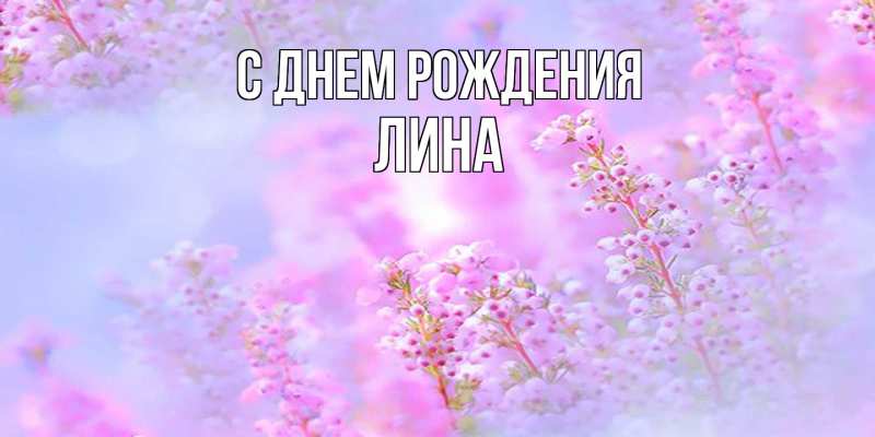 Картинка С днем рождения, Лина