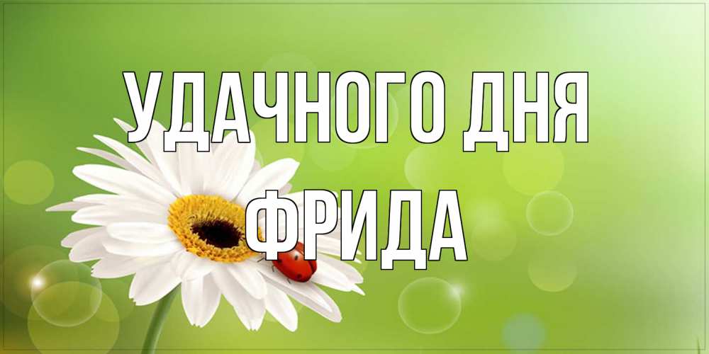 Открытка на каждый день с именем, Фрида Удачного дня зеленый фон и ромашка Прикольная открытка с пожеланием онлайн скачать бесплатно 