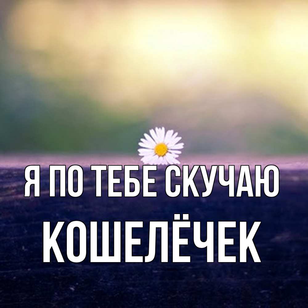 Открытка на каждый день с именем, кошелёчек Я по тебе скучаю приходи в гости Прикольная открытка с пожеланием онлайн скачать бесплатно 