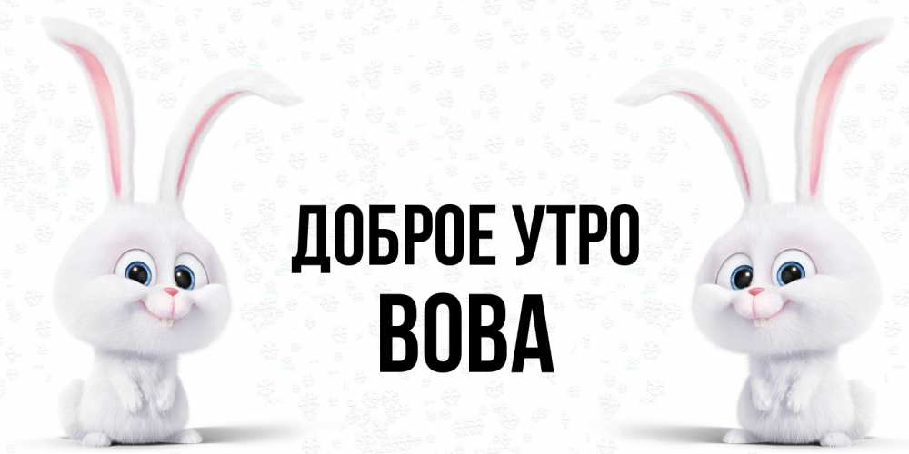 Открытка на каждый день с именем, Вова Доброе утро кролики с длинными ушками Прикольная открытка с пожеланием онлайн скачать бесплатно 
