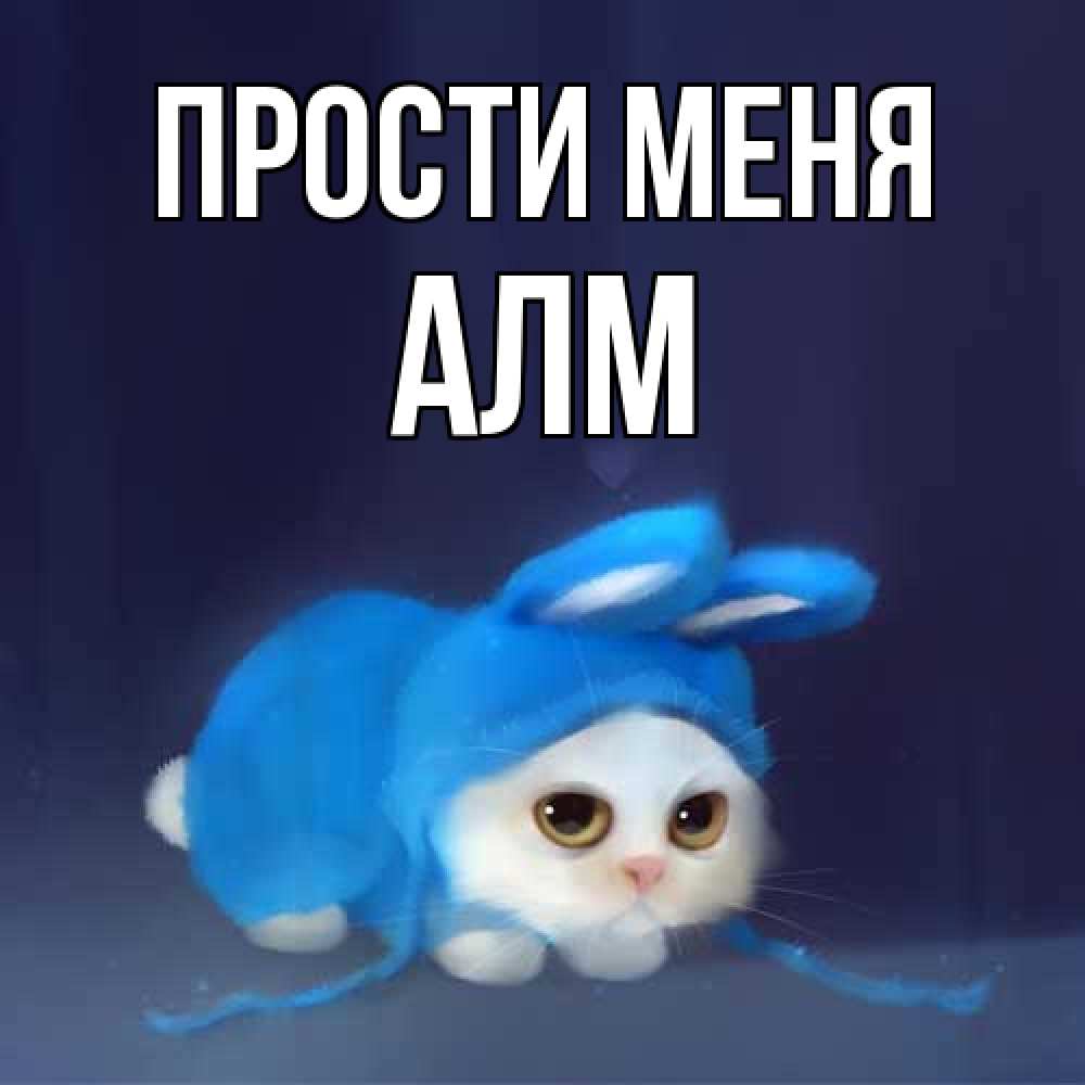 Открытка на каждый день с именем, Алм Прости меня невинный котозай просит прощения Прикольная открытка с пожеланием онлайн скачать бесплатно 