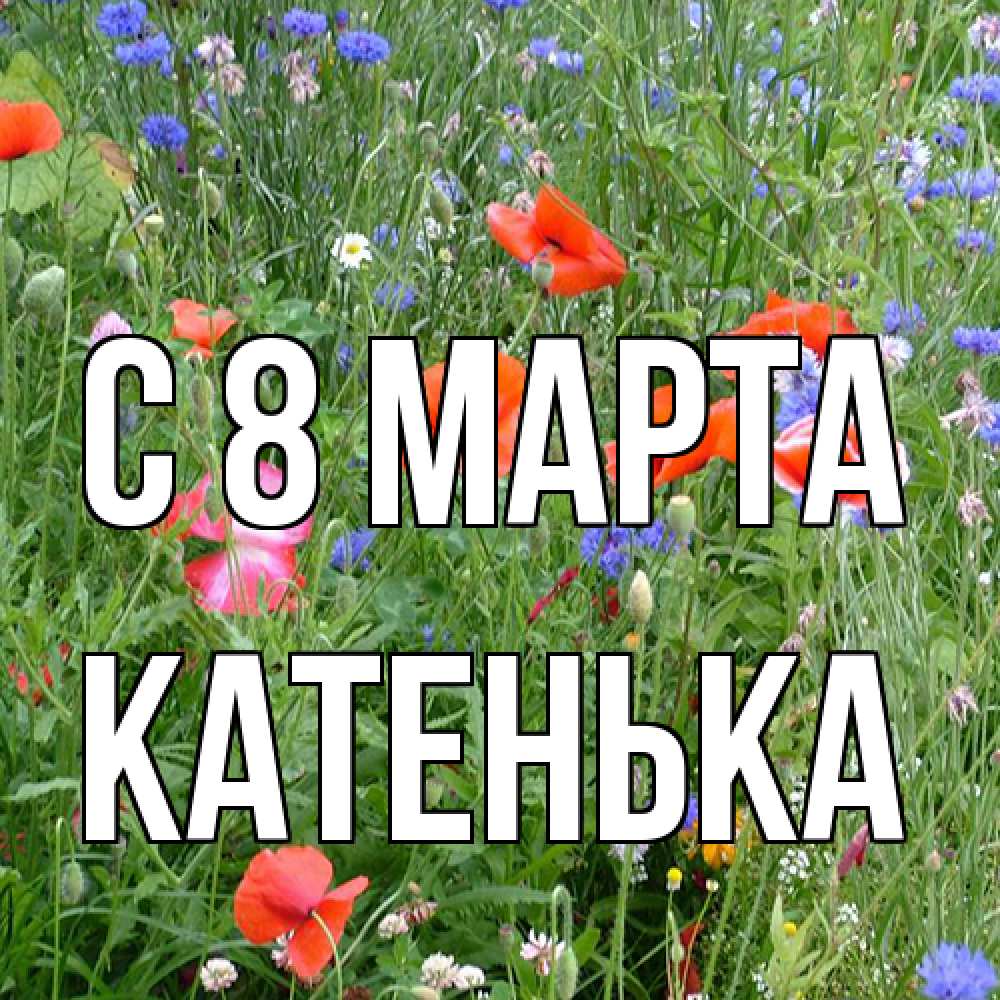 Открытка на каждый день с именем, Катенька C 8 МАРТА международный женский день 4 Прикольная открытка с пожеланием онлайн скачать бесплатно 