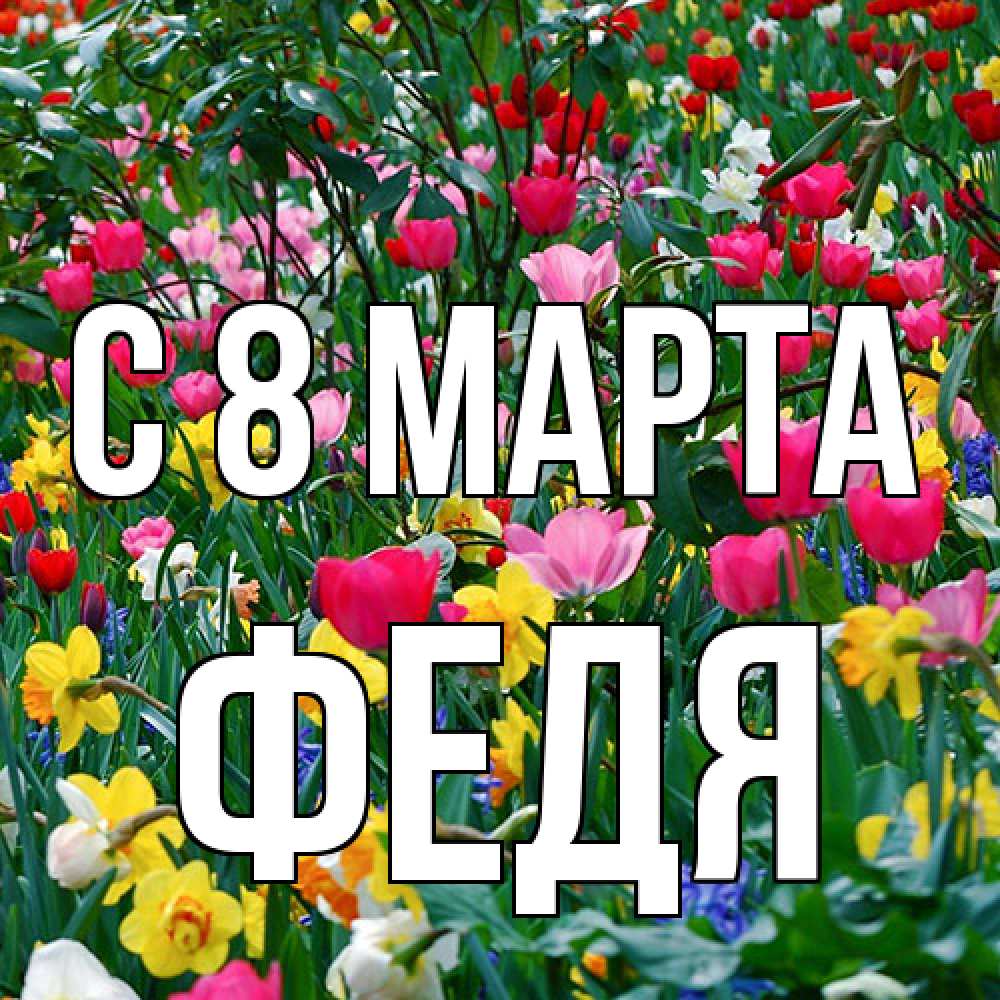 Открытка на каждый день с именем, Федя C 8 МАРТА с международным женским днем поздравления для женщины Прикольная открытка с пожеланием онлайн скачать бесплатно 