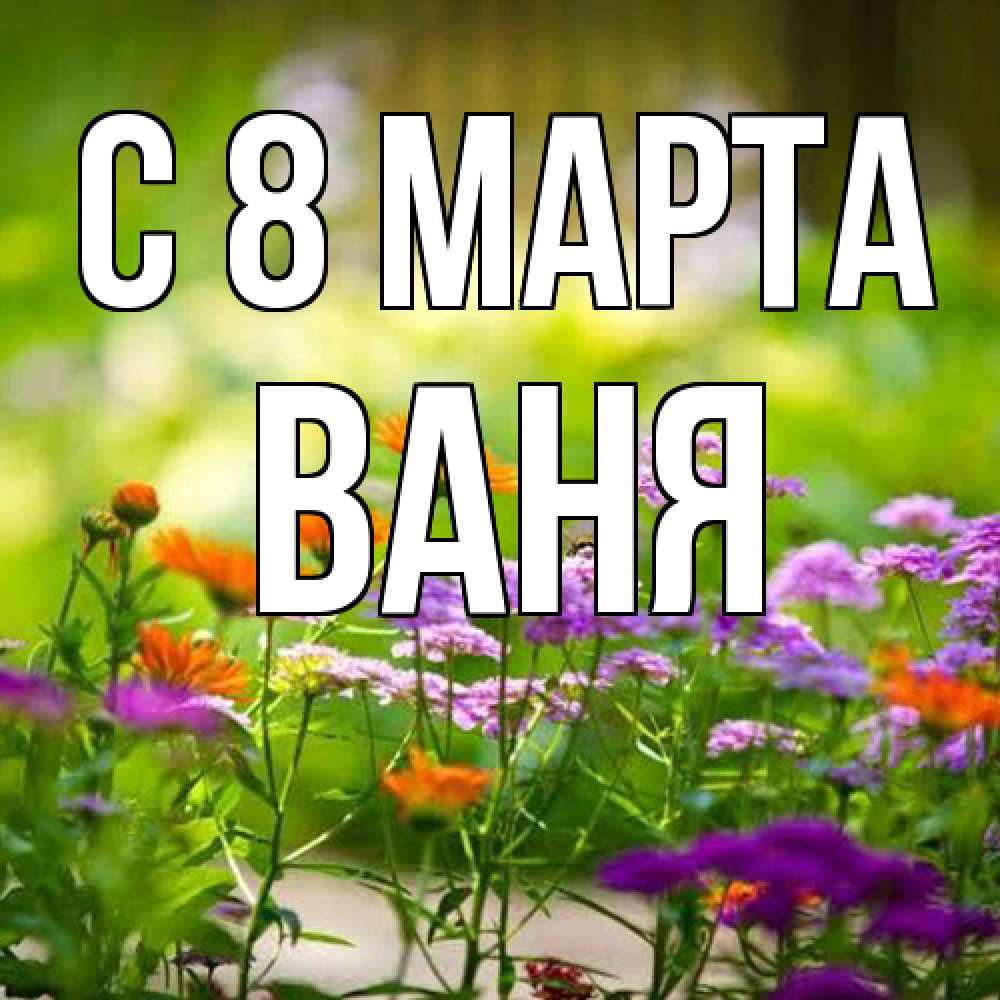 Открытка на каждый день с именем, Ваня C 8 МАРТА цветы Прикольная открытка с пожеланием онлайн скачать бесплатно 