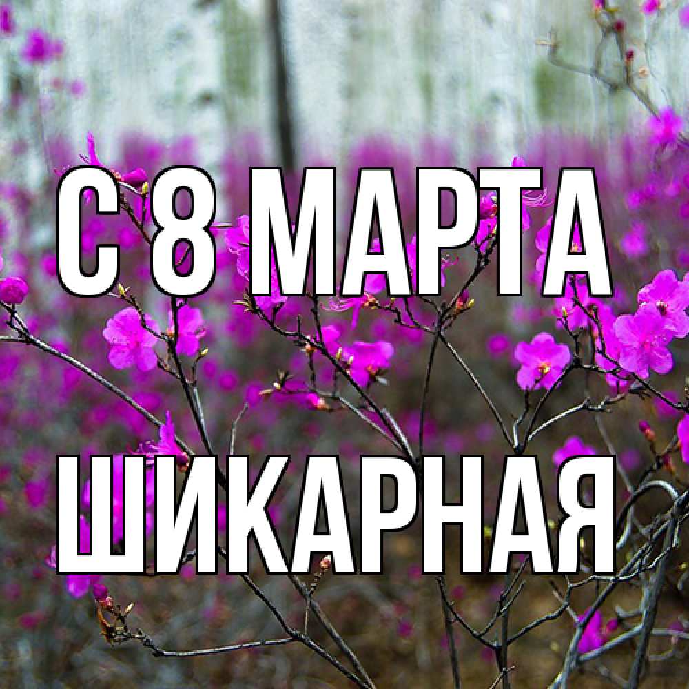 Открытка на каждый день с именем, шикарная C 8 МАРТА дикие цветы Прикольная открытка с пожеланием онлайн скачать бесплатно 