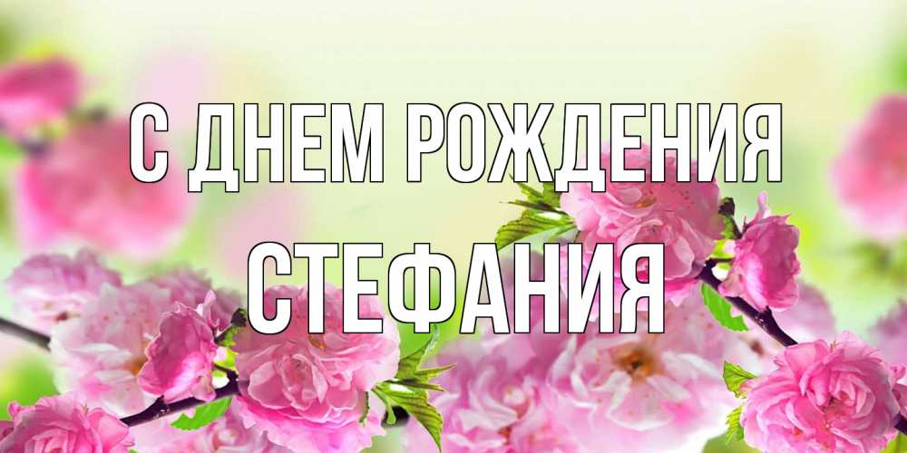 Открытка на каждый день с именем, Стефания С днем рождения веточки с цветками Прикольная открытка с пожеланием онлайн скачать бесплатно 
