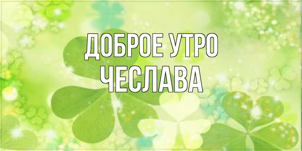 Открытка на каждый день с именем, Чеслава Доброе утро открытка с листьями летними зелеными Прикольная открытка с пожеланием онлайн скачать бесплатно 