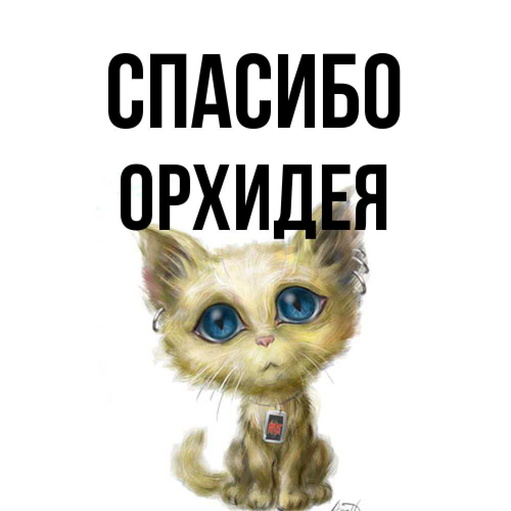 Открытка на каждый день с именем, Орхидея Спасибо рисованный кот благодарит вас Прикольная открытка с пожеланием онлайн скачать бесплатно 