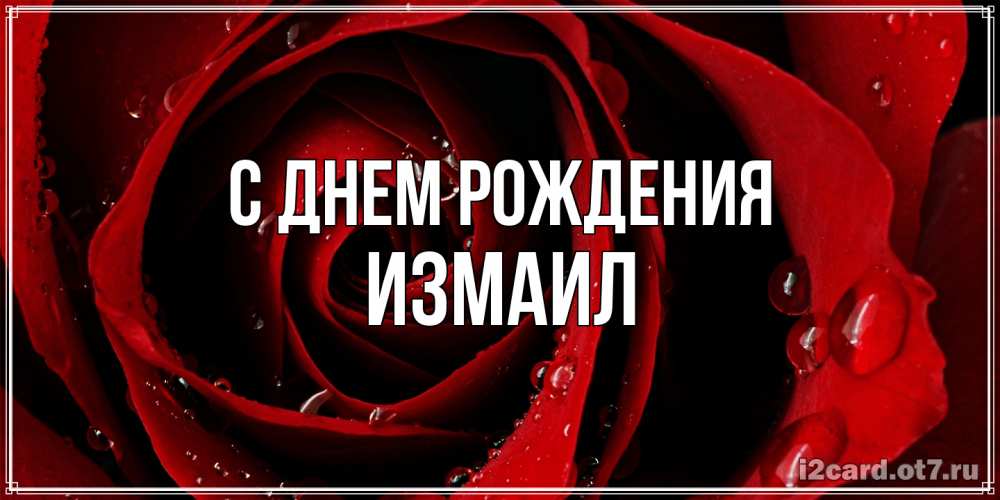 Открытка на каждый день с именем, Измаил С днем рождения крупная бордовая роза Прикольная открытка с пожеланием онлайн скачать бесплатно 