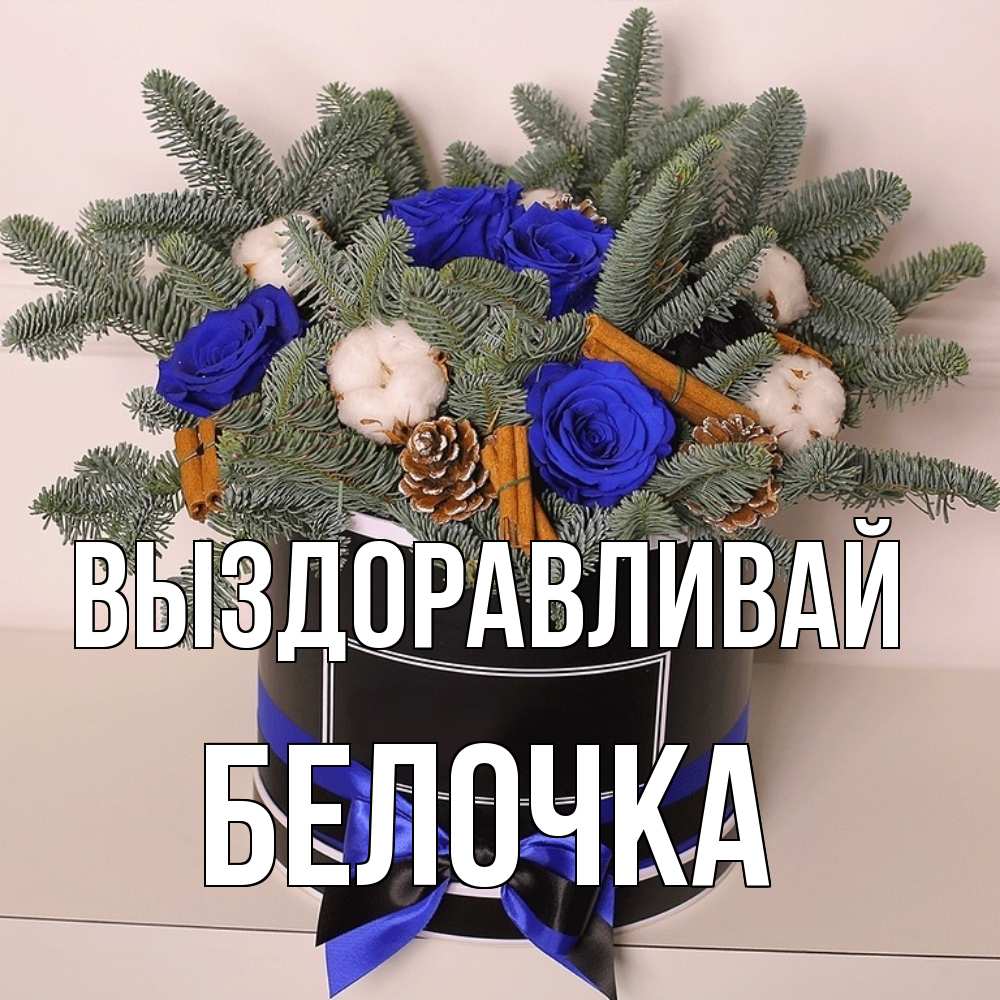 Открытка на каждый день с именем, Белочка Выздоравливай короче кто то загрузил эти шишки Прикольная открытка с пожеланием онлайн скачать бесплатно 