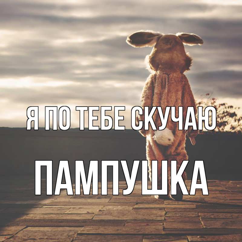Картинка Я по тебе скучаю, Пампушка