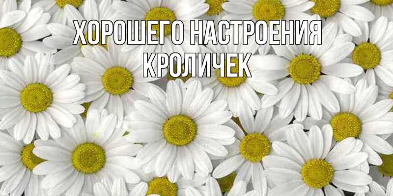 Картинка Хорошего настроения, кроличек