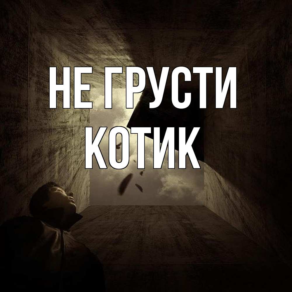 Открытка на каждый день с именем, Котик Не грусти жуть Прикольная открытка с пожеланием онлайн скачать бесплатно 