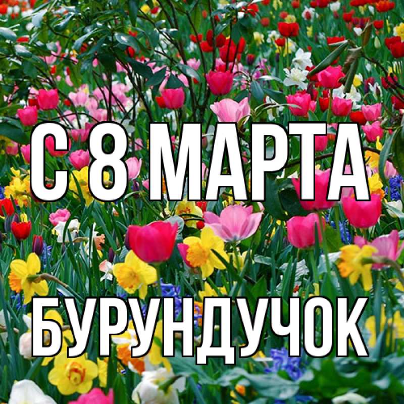Картинка C 8 МАРТА, бурундучок