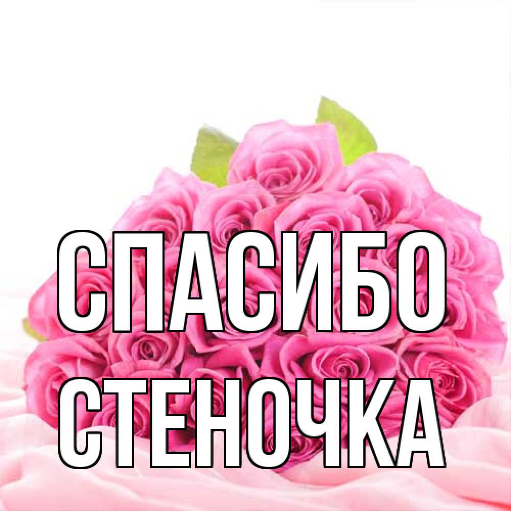 Открытка на каждый день с именем, Стеночка Спасибо розовые розы с подписью Прикольная открытка с пожеланием онлайн скачать бесплатно 