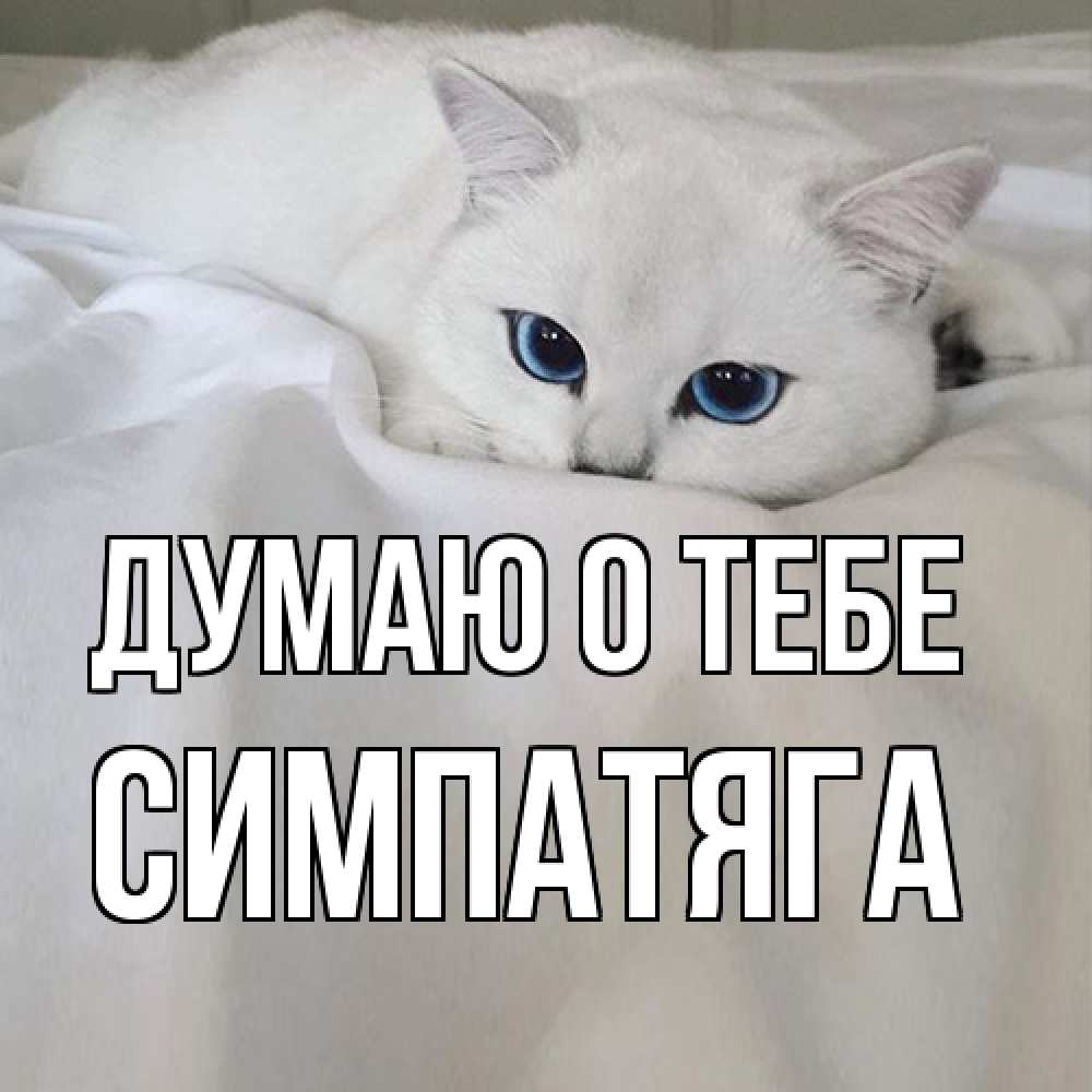 Открытка на каждый день с именем, Симпатяга Думаю о тебе я очень по тебе скучаю и тоскую Прикольная открытка с пожеланием онлайн скачать бесплатно 