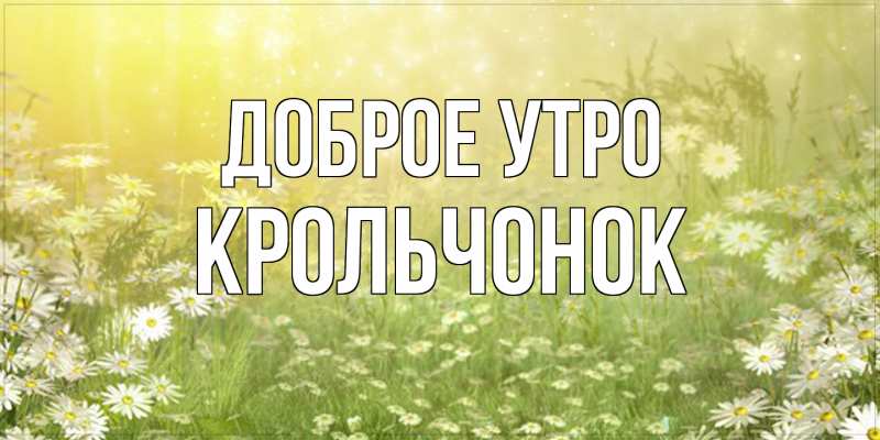 Картинка Доброе утро, Крольчонок