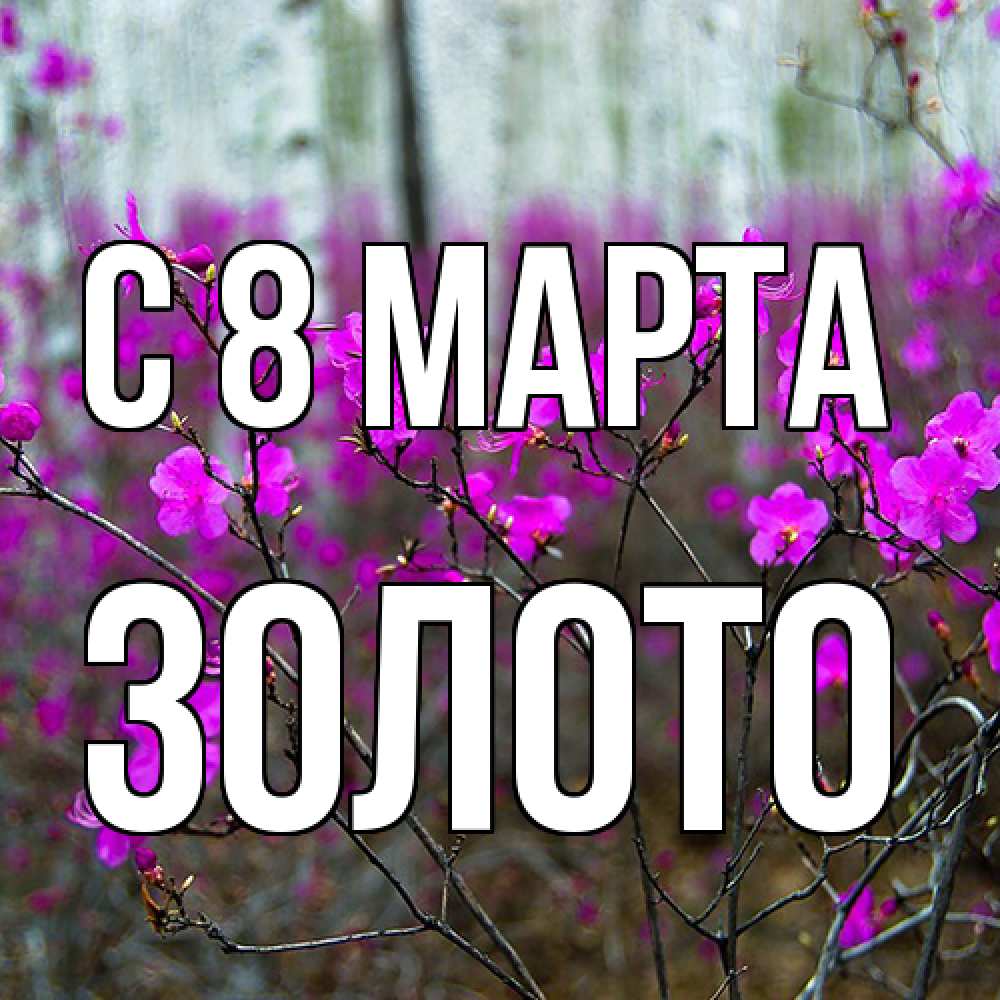 Открытка на каждый день с именем, Золото C 8 МАРТА дикие цветы Прикольная открытка с пожеланием онлайн скачать бесплатно 