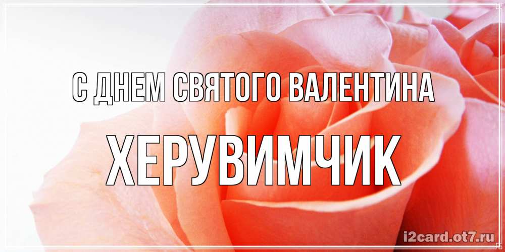 Открытка на каждый день с именем, Хеpувимчик С днем Святого Валентина открытка на день Святого Валентина с розовой розой Прикольная открытка с пожеланием онлайн скачать бесплатно 