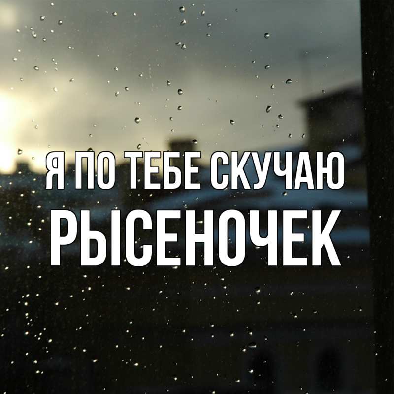 Картинка Я по тебе скучаю, Рысеночек