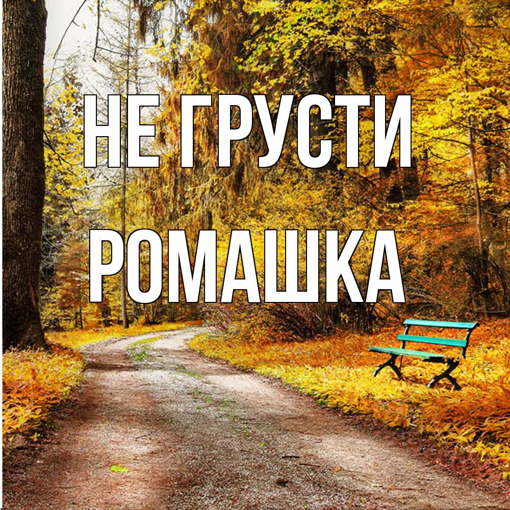Открытка на каждый день с именем, Ромашка Не грусти зеленая лавочка Прикольная открытка с пожеланием онлайн скачать бесплатно 