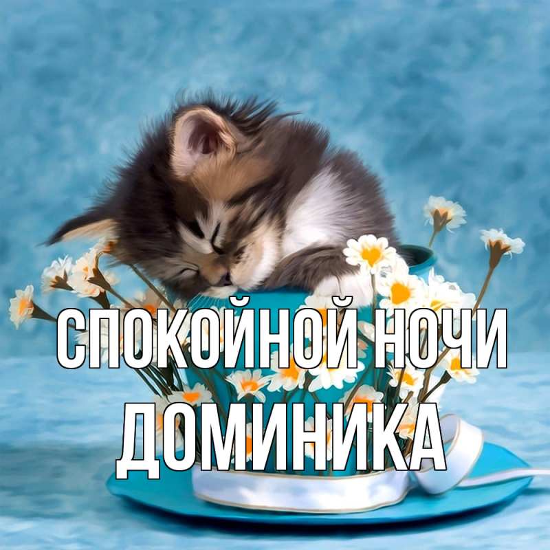 Картинка Спокойной ночи, Доминика