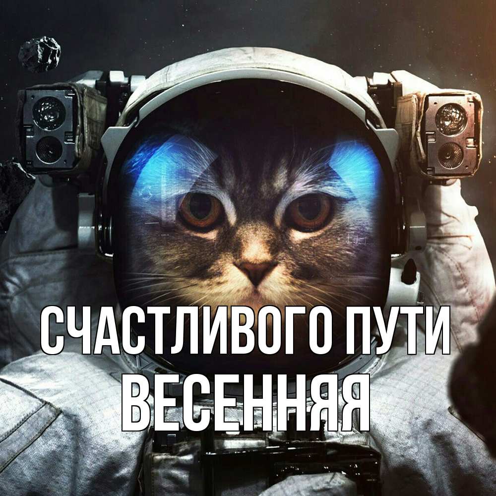 Открытка на каждый день с именем, Весенняя Счастливого пути желает удачно добраться Прикольная открытка с пожеланием онлайн скачать бесплатно 