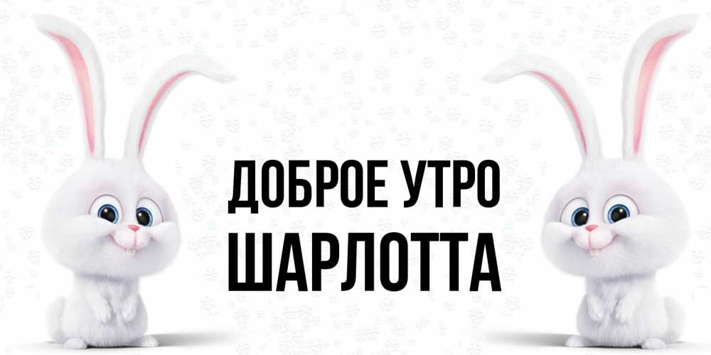 Открытка на каждый день с именем, Шарлотта Доброе утро кролики с длинными ушками Прикольная открытка с пожеланием онлайн скачать бесплатно 