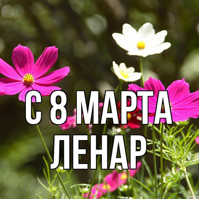 Картинка C 8 МАРТА, Ленар