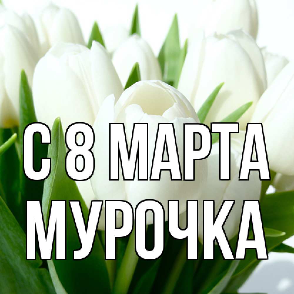 Открытка на каждый день с именем, Мурочка C 8 МАРТА цветы Прикольная открытка с пожеланием онлайн скачать бесплатно 