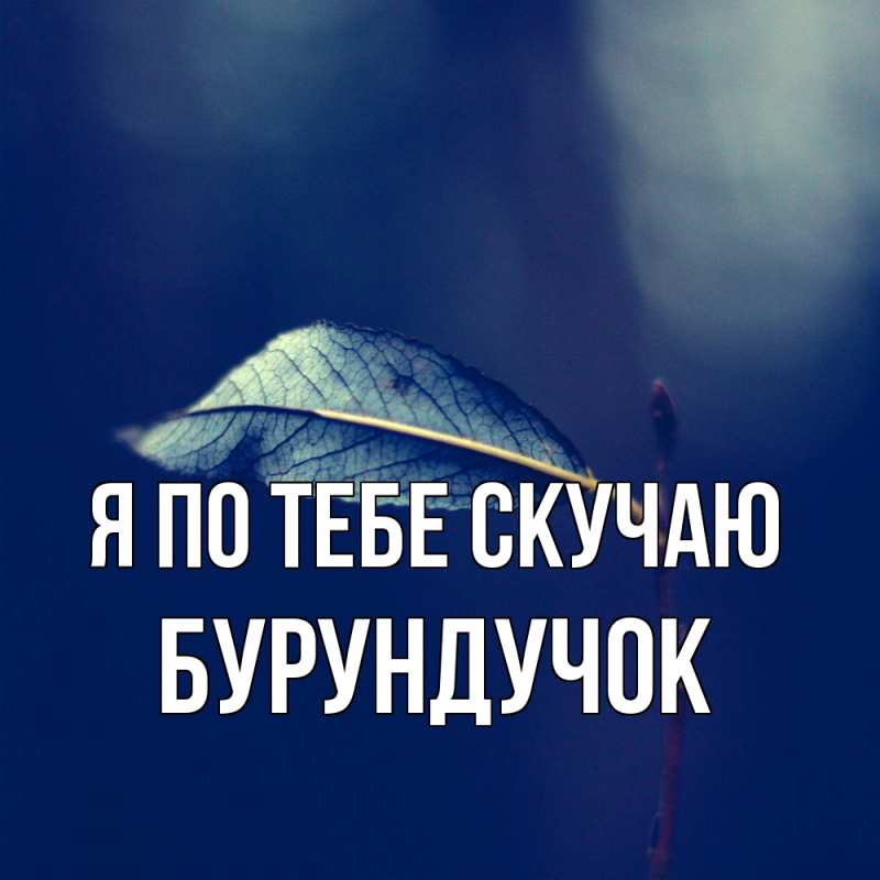 Картинка Я по тебе скучаю, бурундучок