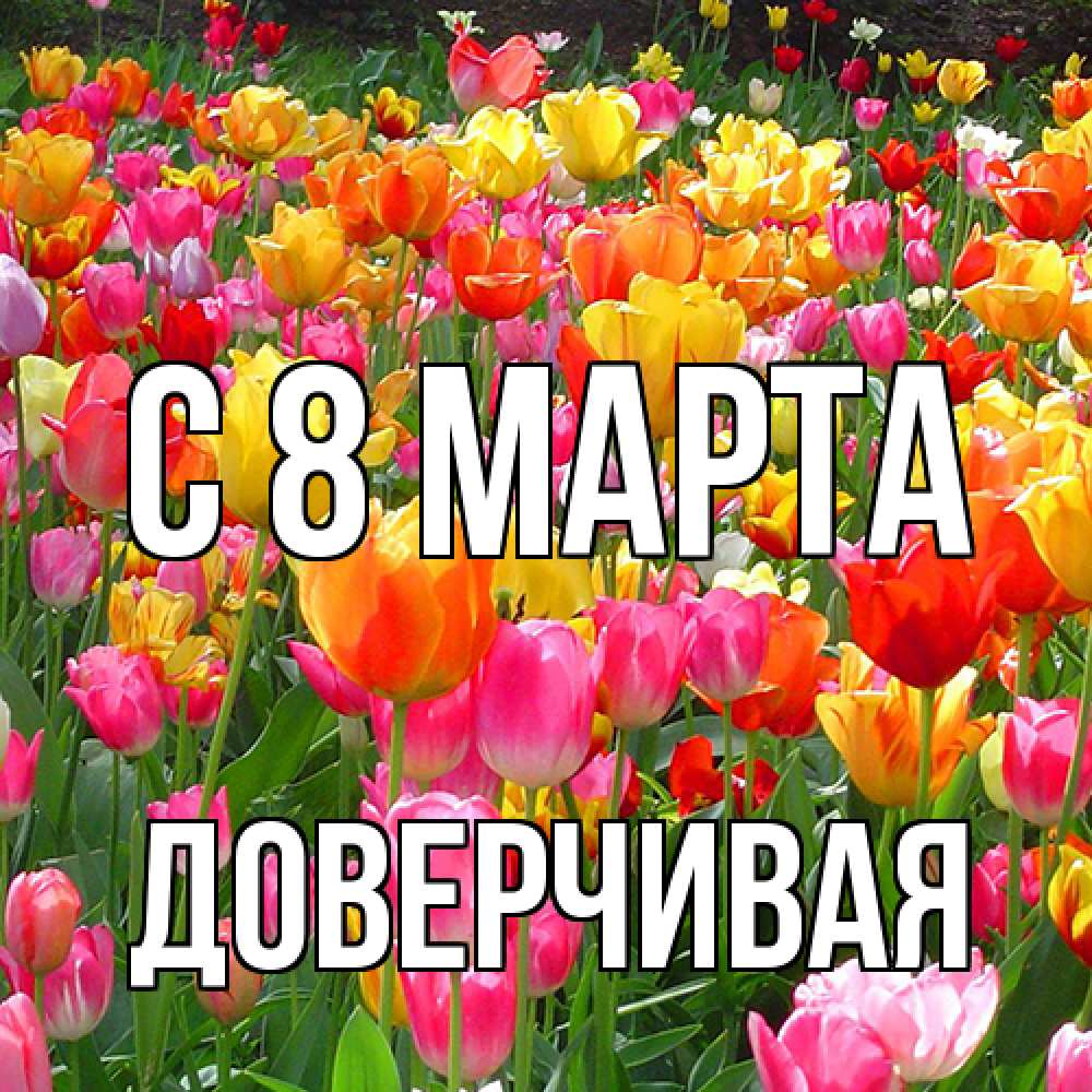 Открытка на каждый день с именем, Доверчивая C 8 МАРТА на международный женский день Прикольная открытка с пожеланием онлайн скачать бесплатно 