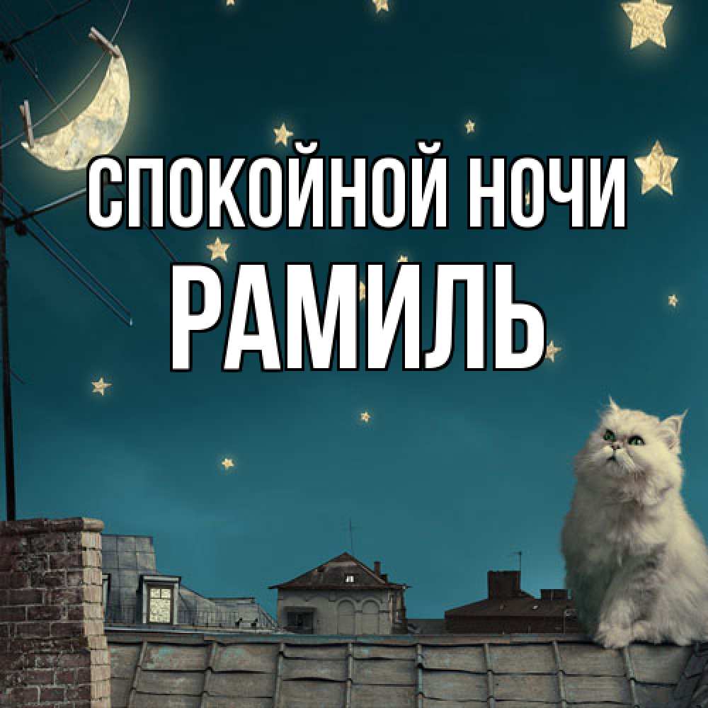 Открытка на каждый день с именем, Рамиль Спокойной ночи белый кот сидит на крыше Прикольная открытка с пожеланием онлайн скачать бесплатно 