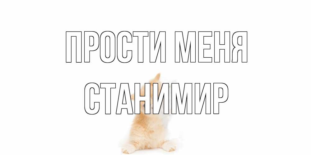 Открытка на каждый день с именем, Станимир Прости меня кот Прикольная открытка с пожеланием онлайн скачать бесплатно 