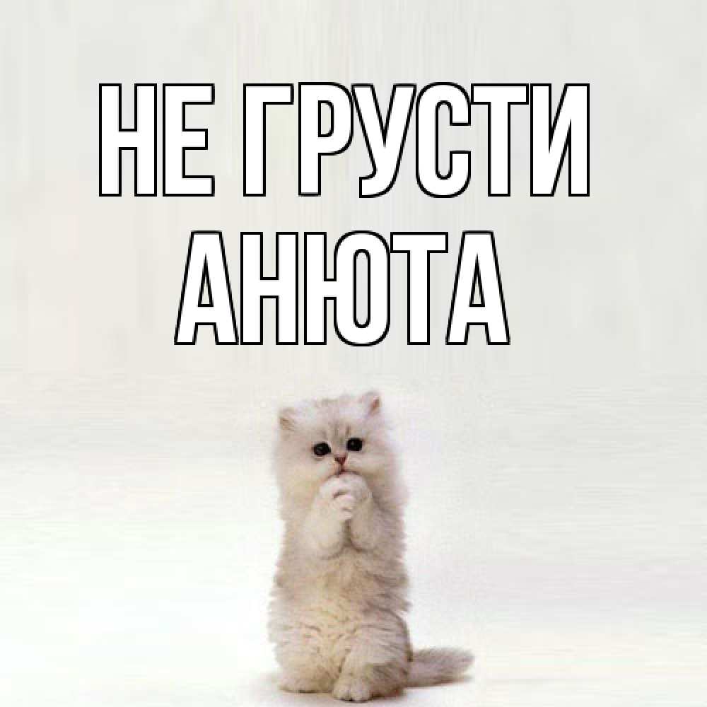 Открытка на каждый день с именем, Анюта Не грусти грустный кот Прикольная открытка с пожеланием онлайн скачать бесплатно 