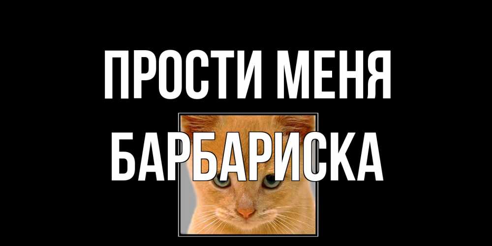 Открытка на каждый день с именем, барбариска Прости меня рыжий грустный кот просит прощения Прикольная открытка с пожеланием онлайн скачать бесплатно 