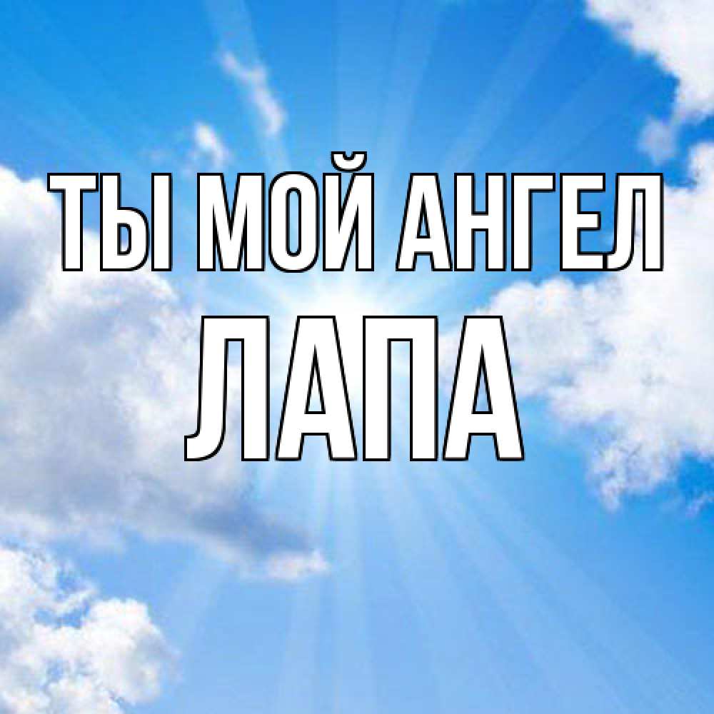 Открытка на каждый день с именем, Лапа Ты мой ангел лучики ангельского света с неба Прикольная открытка с пожеланием онлайн скачать бесплатно 
