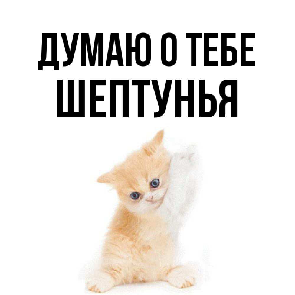 Открытка на каждый день с именем, Шептунья Думаю о тебе зверушки и милота Прикольная открытка с пожеланием онлайн скачать бесплатно 