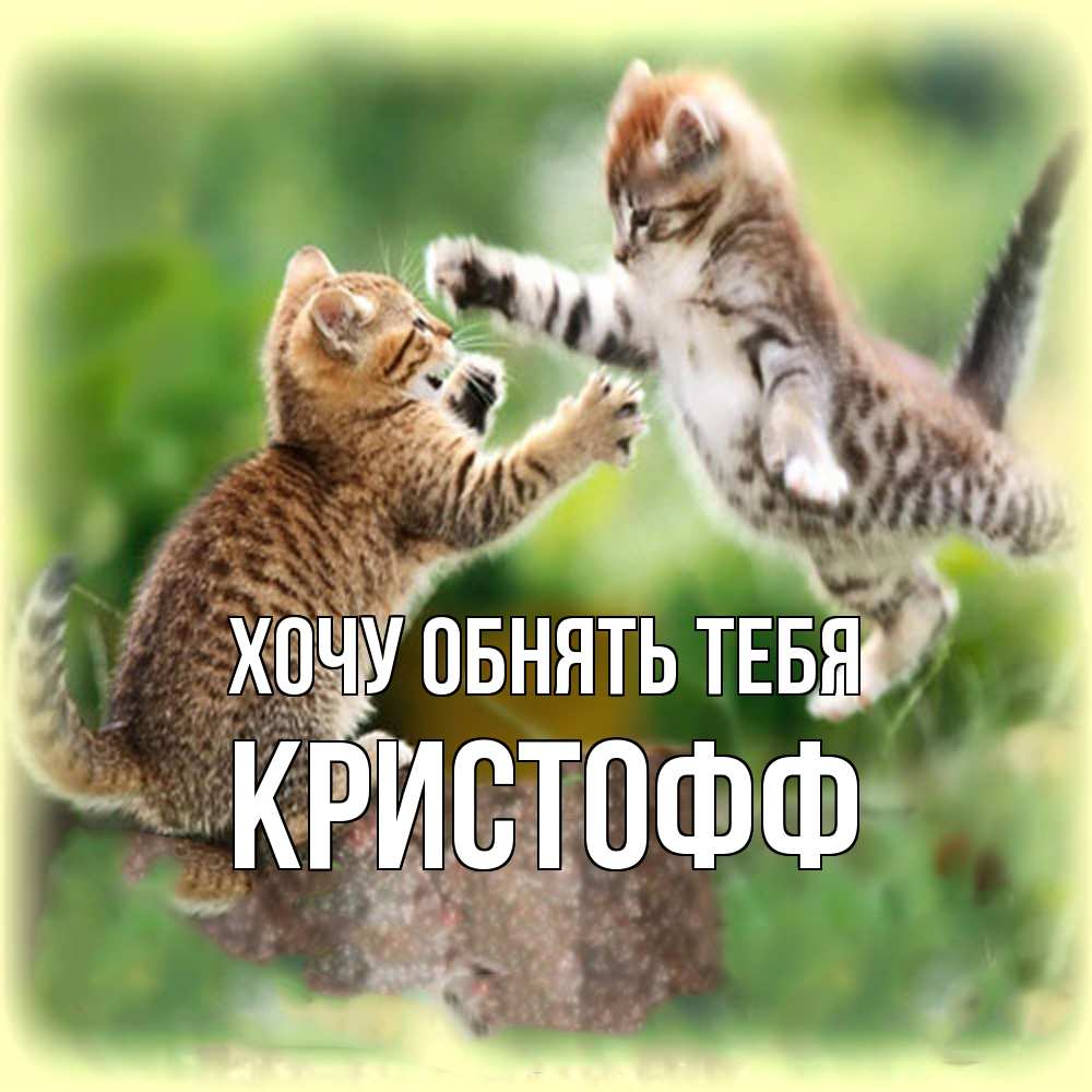 Открытка на каждый день с именем, Кристофф Хочу обнять тебя игры котят Прикольная открытка с пожеланием онлайн скачать бесплатно 