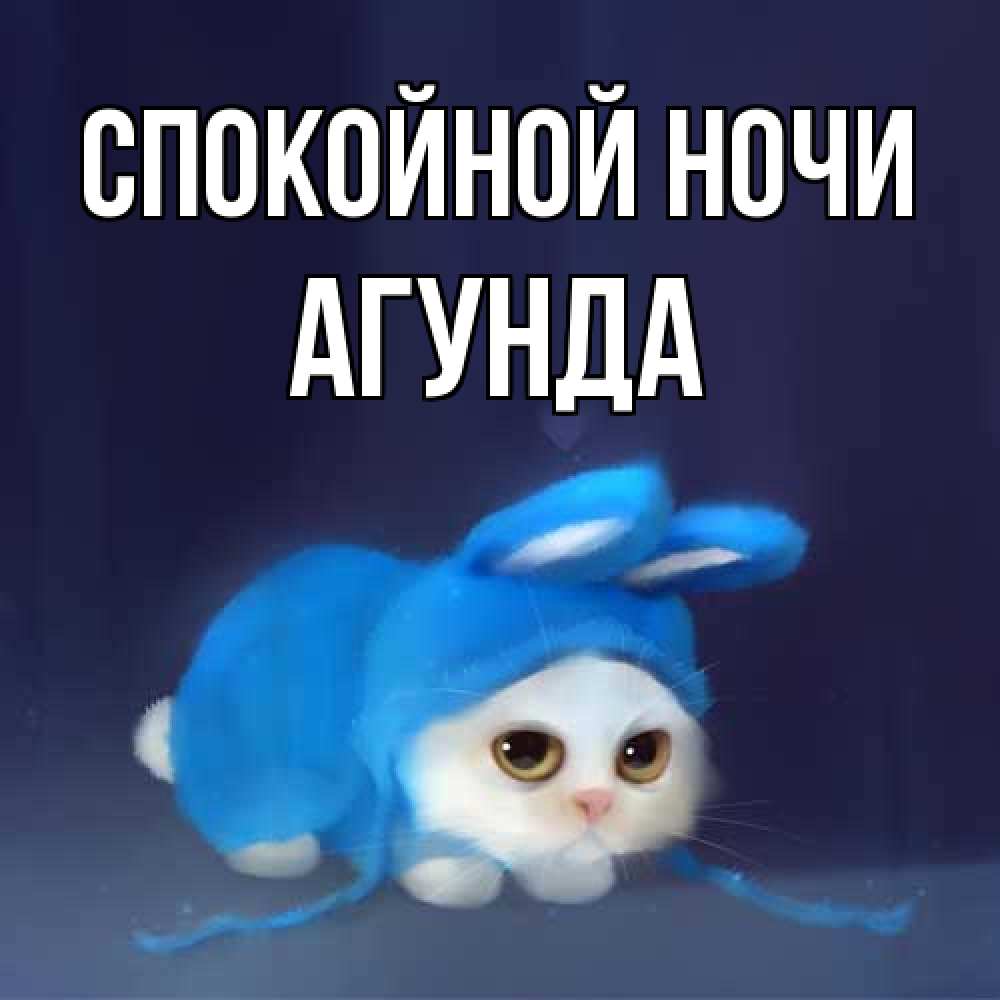 Открытка на каждый день с именем, Агунда Спокойной ночи кот в голубом костюме кролика с ушками Прикольная открытка с пожеланием онлайн скачать бесплатно 