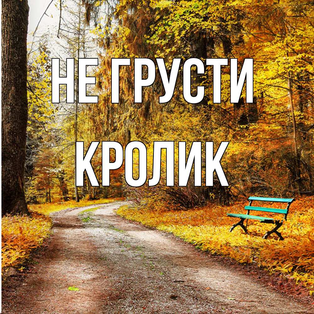 Открытка на каждый день с именем, кролик Не грусти зеленая лавочка Прикольная открытка с пожеланием онлайн скачать бесплатно 