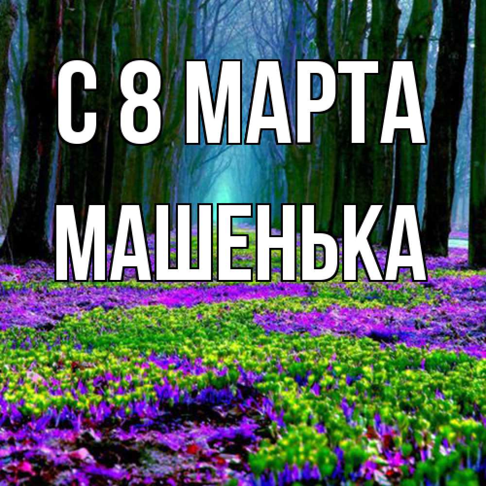 Открытка на каждый день с именем, Машенька C 8 МАРТА фиолетовые цветы в лесу 1 Прикольная открытка с пожеланием онлайн скачать бесплатно 